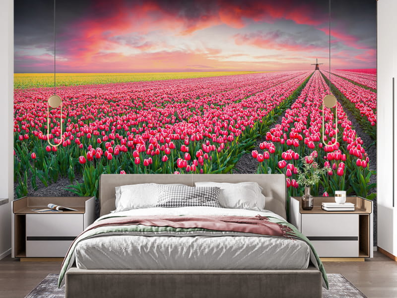 Fototapeta Pole tulipanów we wnętrzu sypialni