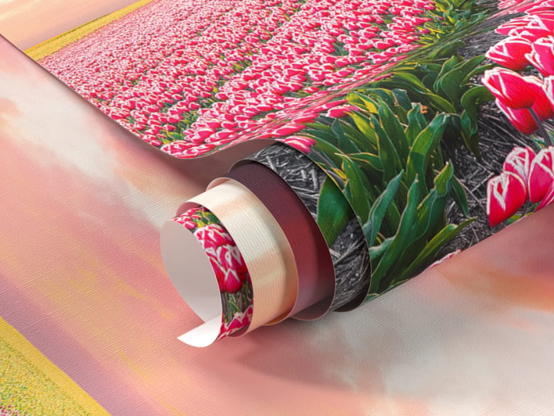 Fototapeta Pole tulipanów fragment #1