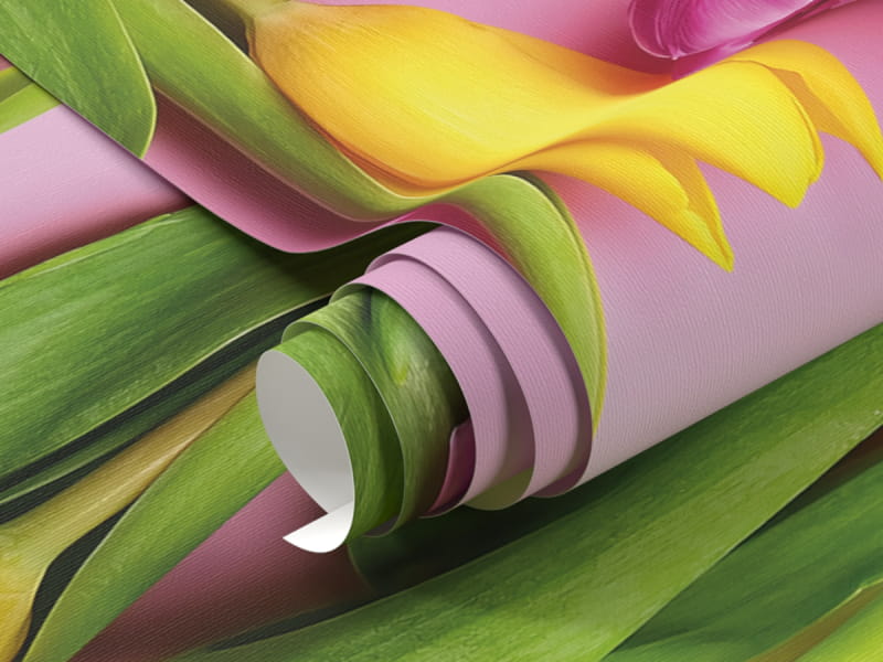 Fototapeta Jasne tulipany fragment #1