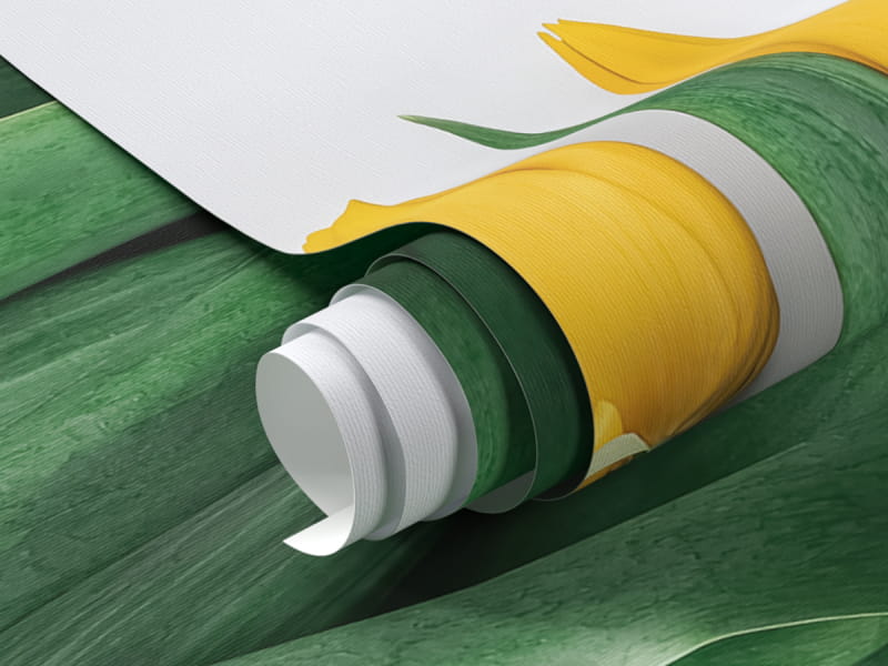 Fototapeta Delikatne żółte tulipany fragment #1