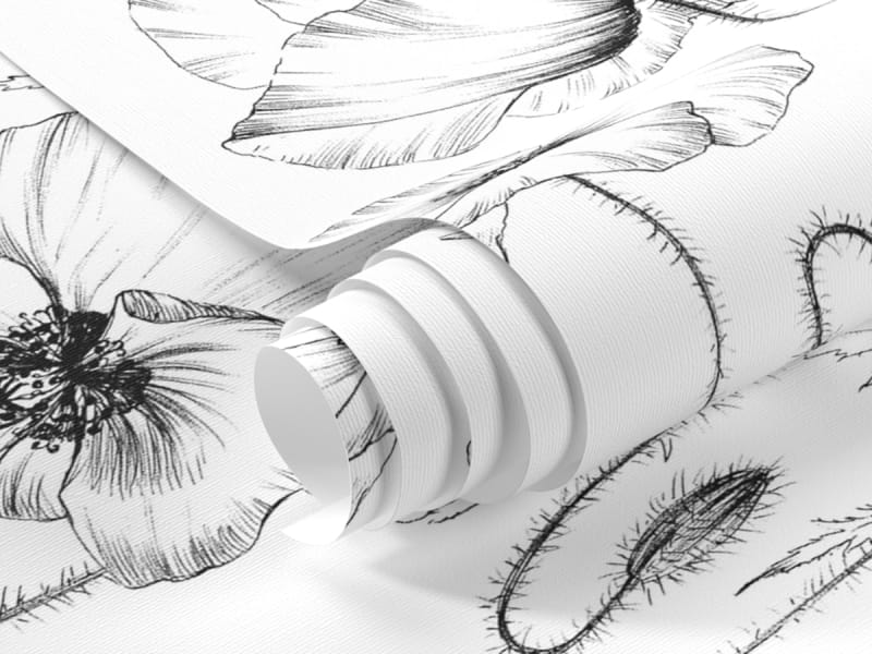 Fototapeta Delikatne maki fragment #1