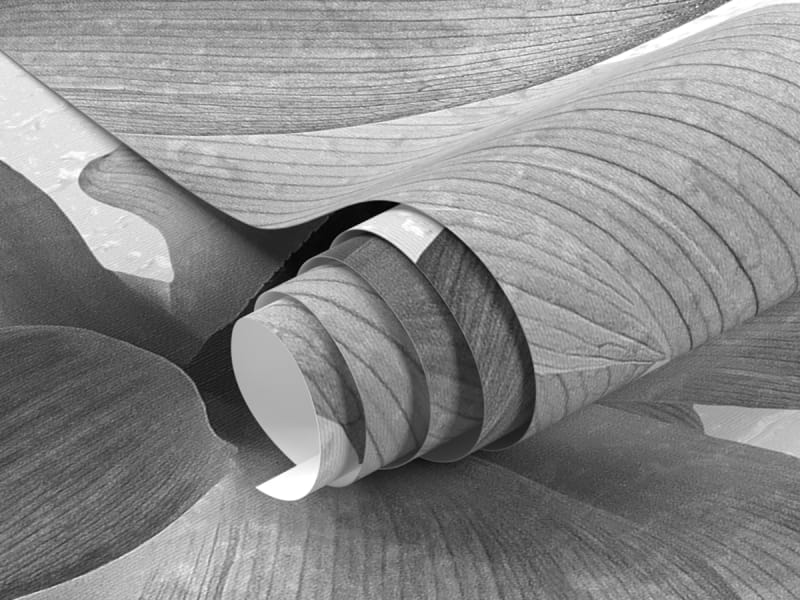 Fototapeta Magnolia czarno-biała fragment #1