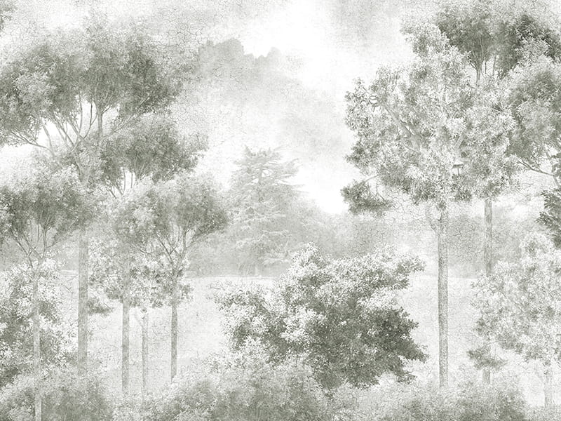 Fototapeta Park Szmaragdowy