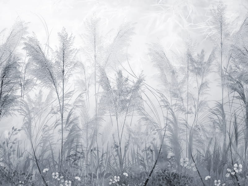 Fototapeta Niebieskie kwiaty polne