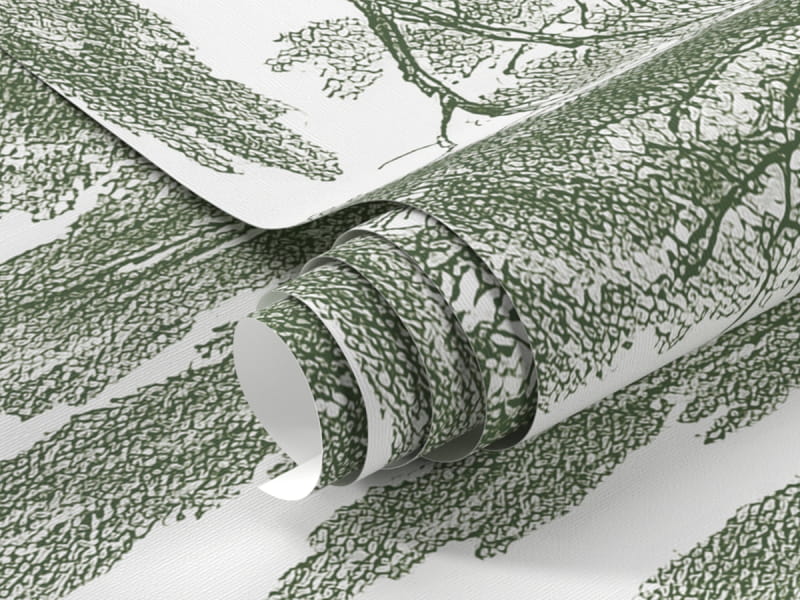 Fototapeta Zielone cyprysy fragment #1