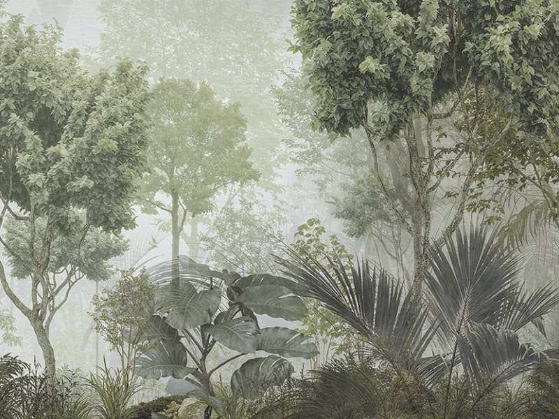 Fototapeta Las spowity poranną mgłą