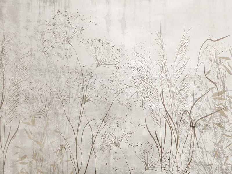 Fototapeta Beżowe kwiaty polne