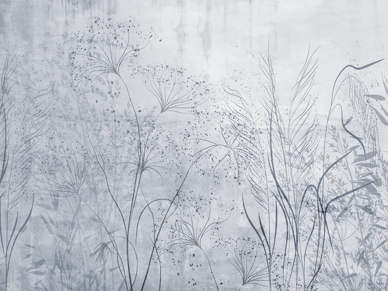 Fototapeta Delikatne kwiaty pól