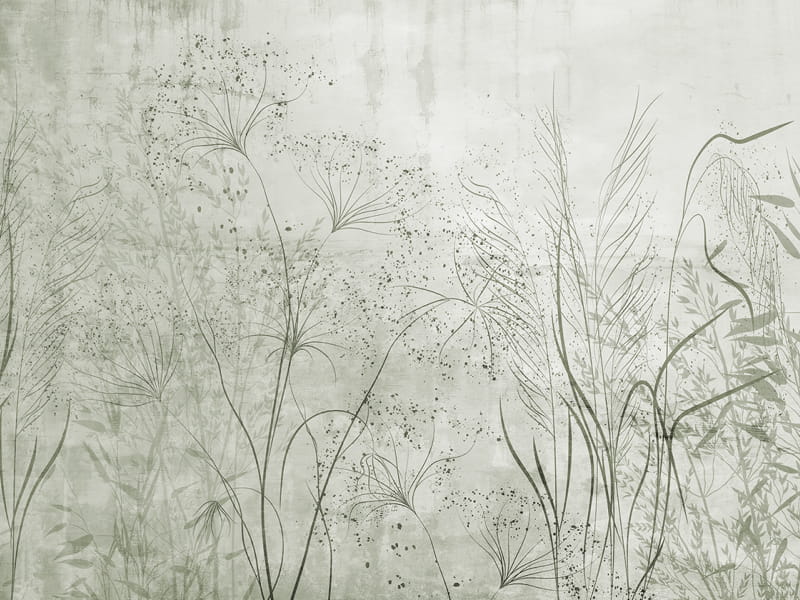 Fototapeta Magiczne kwiaty pól