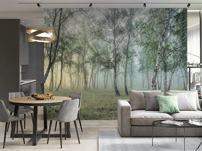 Fototapeta Tajemniczy las brzozowy we wnętrzu salonu