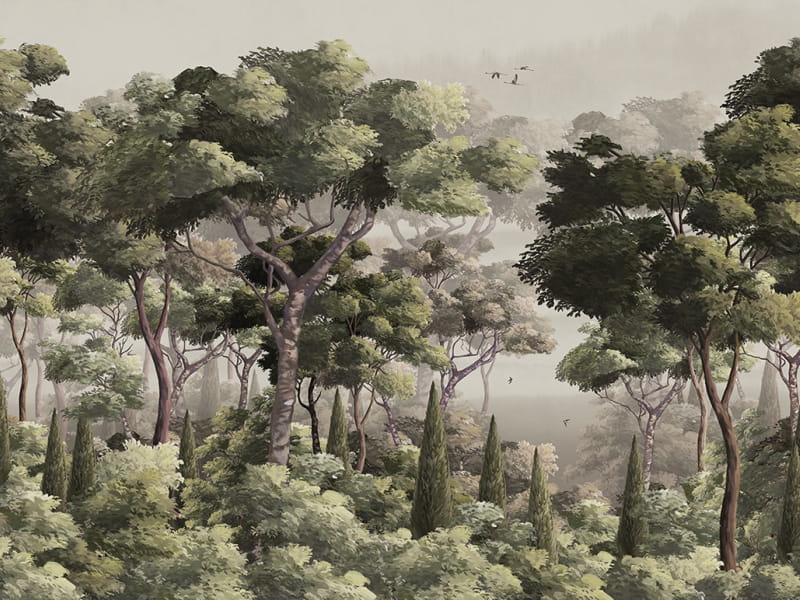 Fototapeta Magia dżungli