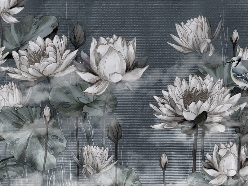 Fototapeta Białe lotosy na szarym tle
