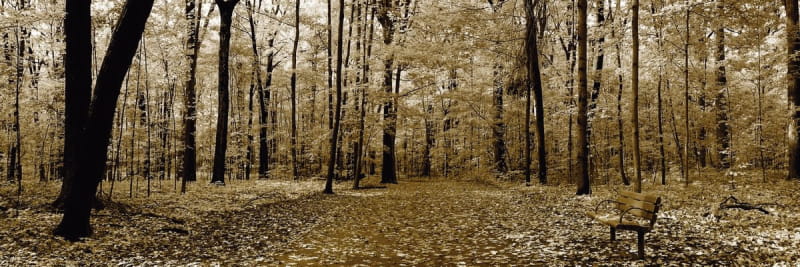 Fototapeta Jesienna panorama