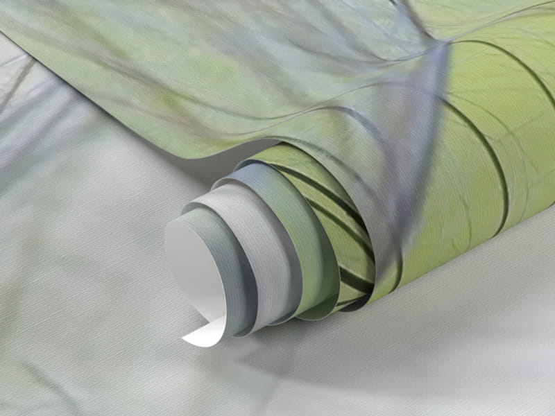 Fototapeta Duże puszyste mlecze fragment #1