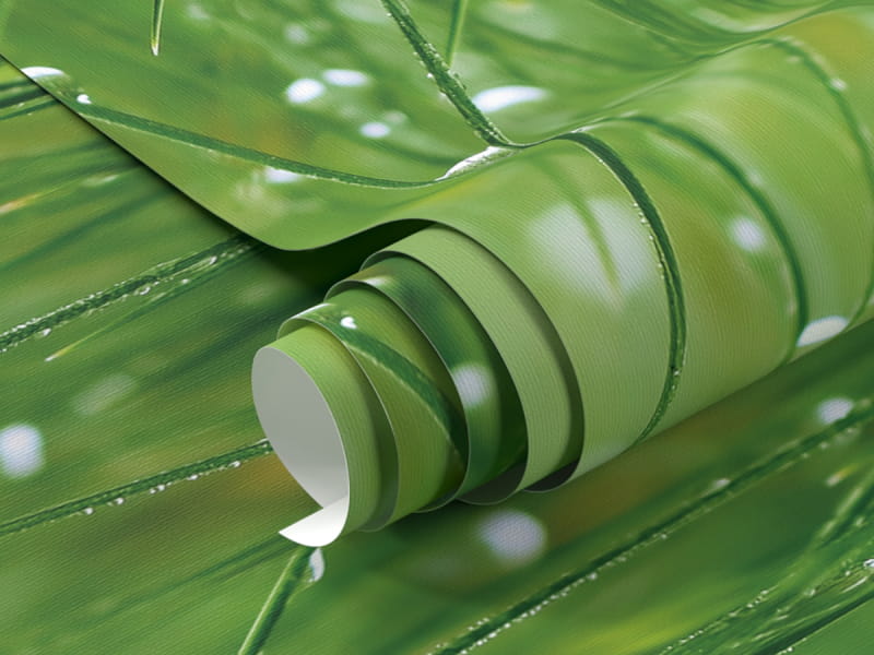 Fototapeta Rosa na trawie fragment #1