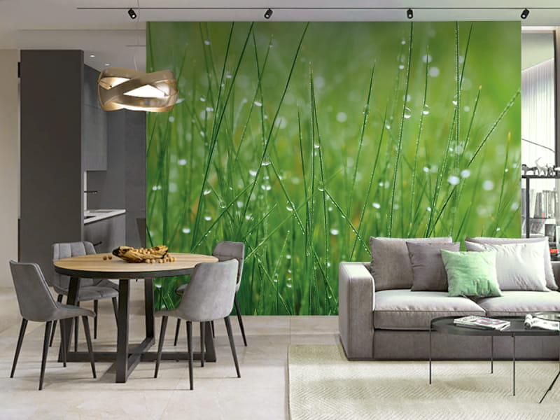 Fototapeta Rosa na trawie we wnętrzu kuchni