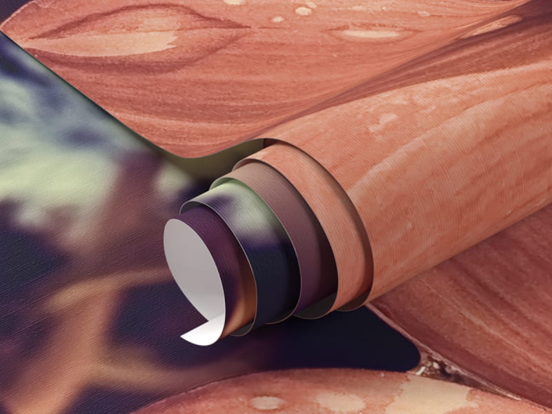 Fototapeta Jesienny kwiat fragment #1