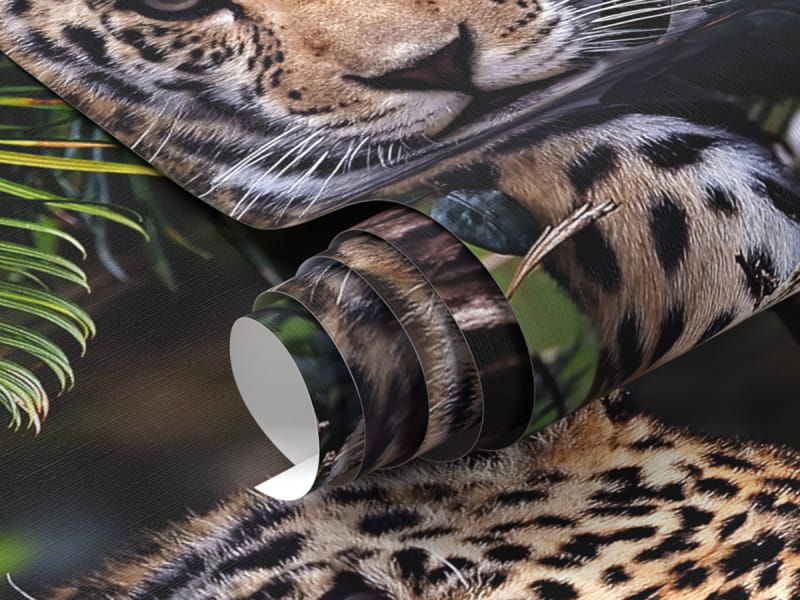 Fototapeta Jaguar fragment #1