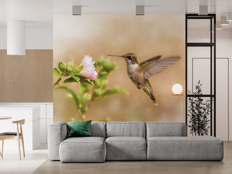 Fototapeta Koliber we wnętrzu salonu