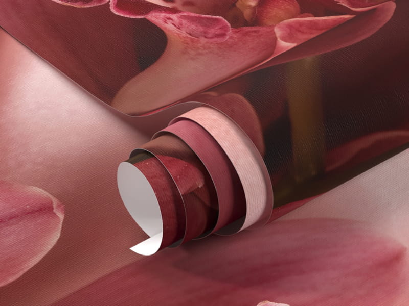 Fototapeta Czerwone storczyki fragment #1