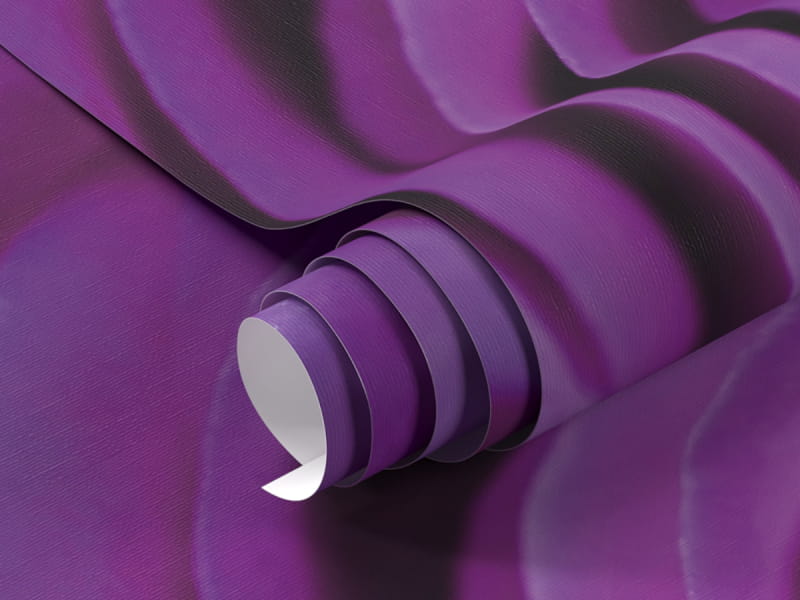 Fototapeta Fioletowa róża fragment #1