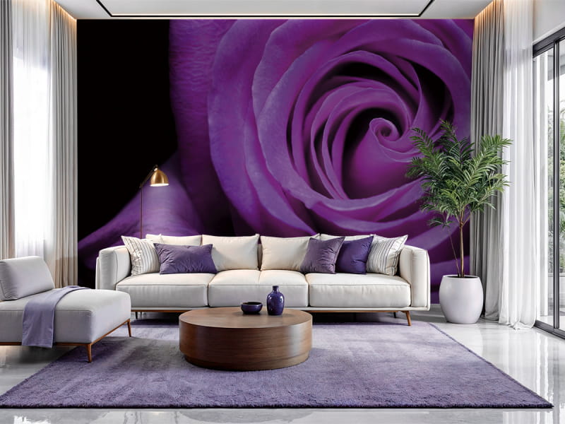 Fototapeta Fioletowa róża we wnętrzu salonu