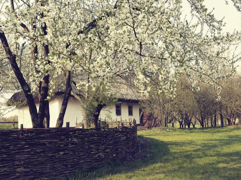 Fototapeta Przytulny dom na wsi