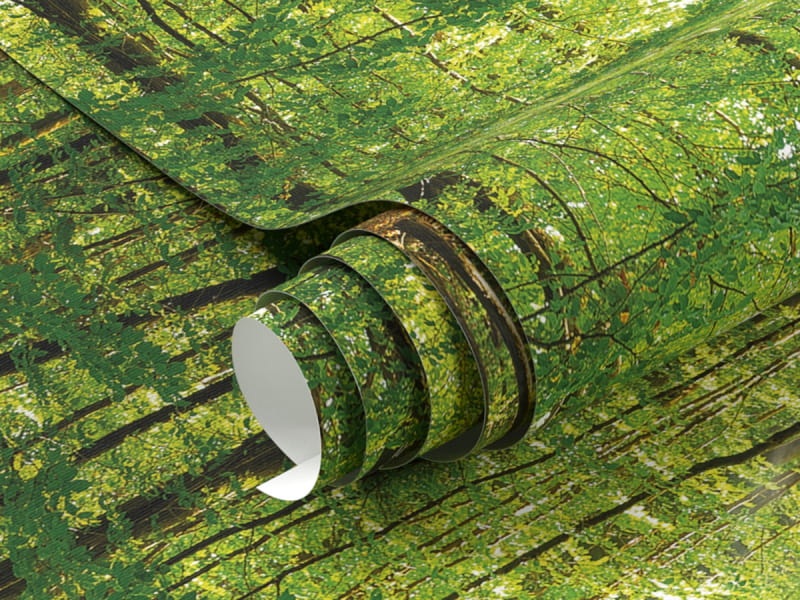 Fototapeta Las natury fragment #1
