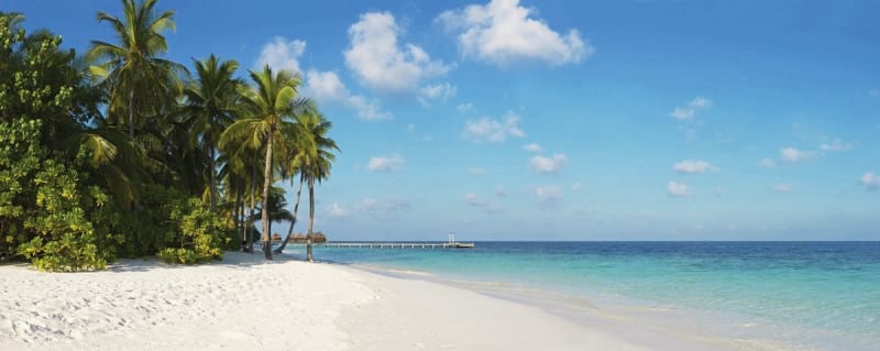 Fototapeta Panorama plaży