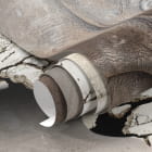 Miniatura fototapety Nosorożec ze ściany fragment #1