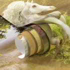 Miniatura fototapety Jednorożce nad strumieniem fragment #1