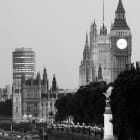 Miniatura fototapety Londyn czarno-biały