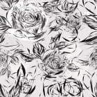 Miniatura fototapety Rysowane róże