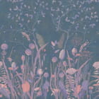 Miniatura fototapety Polne kwiaty o świcie