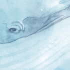 Miniatura fototapety Niesamowity wieloryb fragment # 1