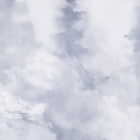 Miniatura fototapety Mgła w sosnowym lesie fragment # 1