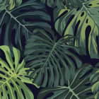 Miniatura fototapety Monstera pozostawia na ciemnym tle fragment # 1