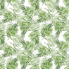 Miniatura fototapety Jasnozielone liście palmowe