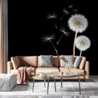 Miniatura fototapety Para białych dandelions we wnętrzu salonu