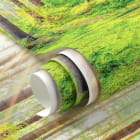 Miniatura fototapety Leśna świeżość fragment #1