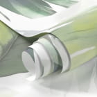 Miniatura fototapety Delikatne liście fragment #1