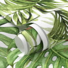 Miniatura fototapety Młody tropikalny ogród fragment #1