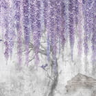 Miniatura fototapety Kwitnąca fioletowa wisteria