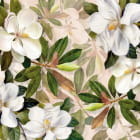 Miniatura fototapety Mleczna magnolia