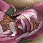 Miniatura fototapety Luksusowe piwonie fragment #1