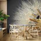 Miniatura fototapety Makro mlecze we wnętrzu kuchni