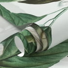 Miniatura fototapety Kwitnąca dzika róża fragment #1