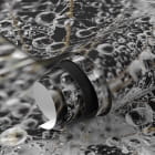 Miniatura fototapety Kwiatostan mniszka lekarskiego fragment #1