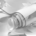 Miniatura fototapety Kwiaty śnieżnobiałe 3D fragment #1