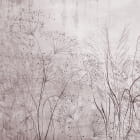 Miniatura fototapety Subtelne polne kwiaty